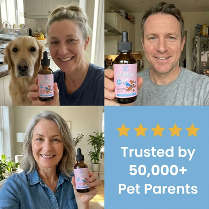Dogly Premium Liquid Collagen [FREE TODAY]